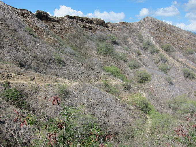 ���Ă��΍�͕K�{�I���ݕ������O�ɍw����