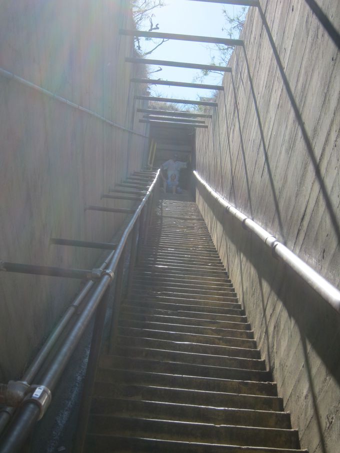 �}�ŋ����K�i�Ɣ��Â��g���l��