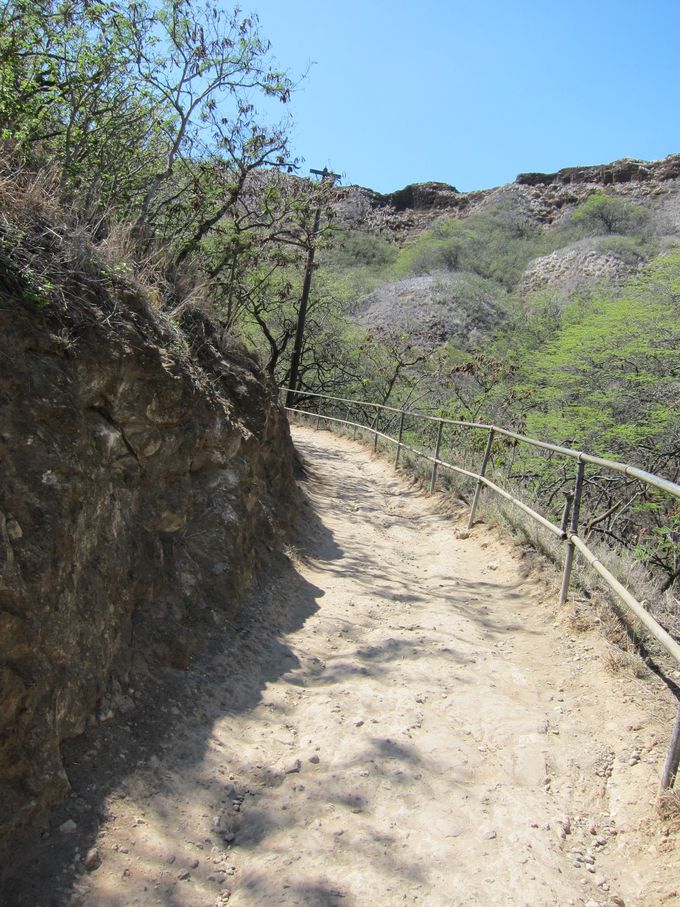 ���Ă��΍�͕K�{�I���ݕ������O�ɍw����