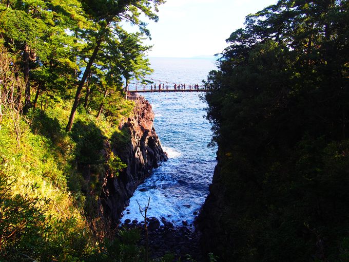 伊豆 城ヶ崎海岸が絶景すぎる 揺れる吊り橋がドキドキ楽しい 静岡県 Lineトラベルjp 旅行ガイド