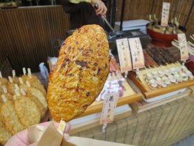 ֓̐HוlCX|bg15II߂̃XC[cEOV܂̖X猊܂ŏЉ̋LTlC