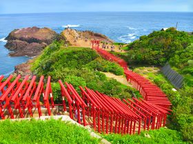 �R�����E���T���_�Ђ�����������I�Ԃ������Ɛ��C�̐�i���y���ނ̋L���T���l�C��