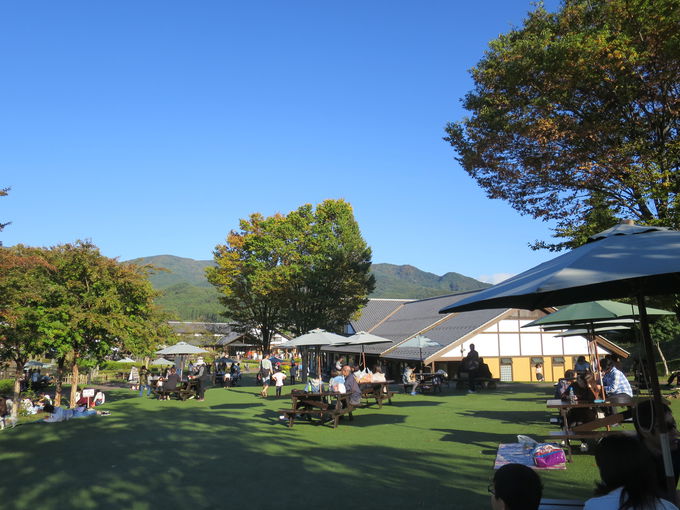 道の駅川場田園プラザ が楽しい 買って食べて子供も遊べる 群馬県 Lineトラベルjp 旅行ガイド