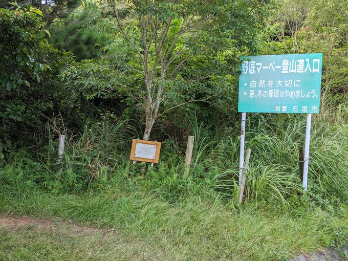 感動必至の石垣島 野底マーペー 登山 360度の絶景がすごい 沖縄県 トラベルjp 旅行ガイド