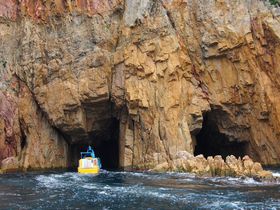 ��|���Ȃ�ʊ�|���I�R��������s�u�C��A���v�X�v�ŕ���ɍ����I�̋L���T���l�C��