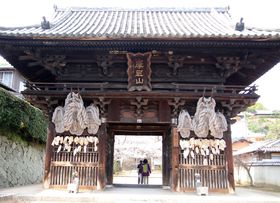 �y�������͋r�̌��N����I��̒��A�����́u�������v�Ō��r�F��I�̋L���T���l�C��