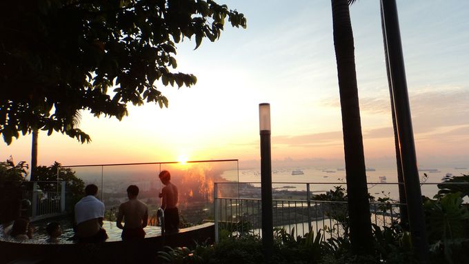 日の出が美しい マリーナベイサンズのプールを満喫するおすすめポイント シンガポール Lineトラベルjp 旅行ガイド