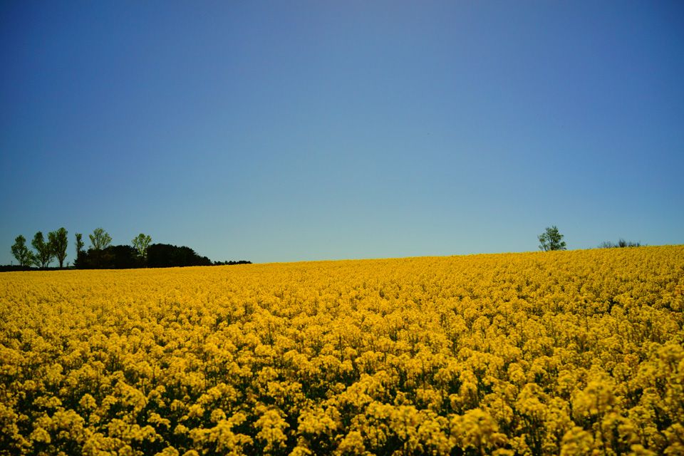 lu؂̉ԃtFXeBov܂ł̃ANZX@