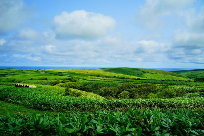 ^Ȃi𑶕Ɋy߂u@Ju˃tbgpXv