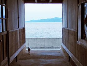 Cڂ̑OI쌧ulRmV}zXevؑ̏wZɏh悤̋LTlC