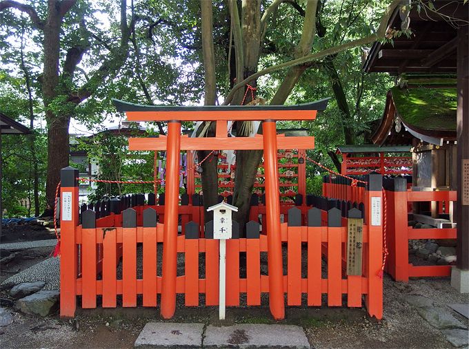 結局どこがどう凄い 京都 下鴨神社の本当の見所 パワ スポットとは 京都府 Lineトラベルjp 旅行ガイド