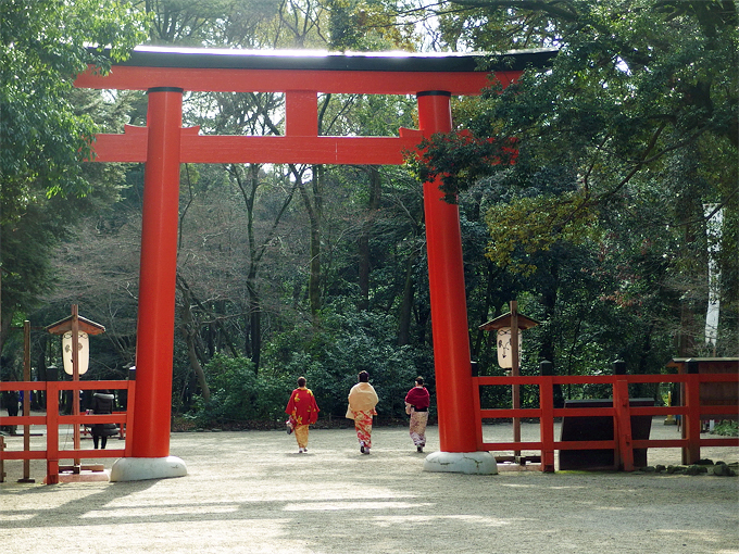 結局どこが凄いのか？京都「下鴨神社」本当の見所＆パワースポット！