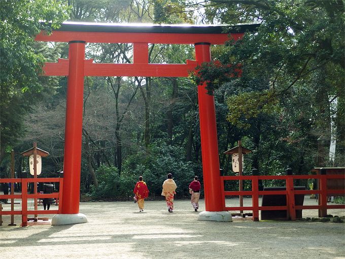 結局どこがどう凄い 京都 下鴨神社の本当の見所 パワ スポットとは 京都府 Lineトラベルjp 旅行ガイド