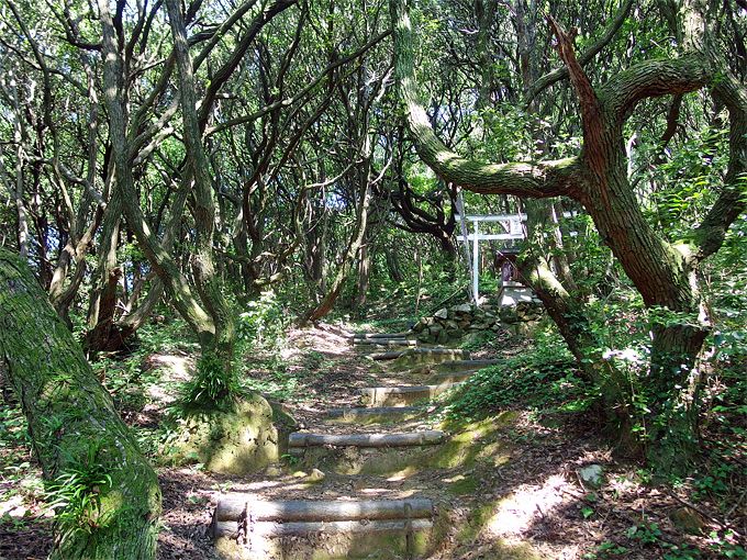 ̓ɗꂽƂɊӁI̐XłQ