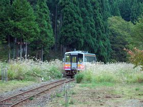 쌴ɖԂƖؑwɁIRk̈ŃgȓSւ̋LTlC