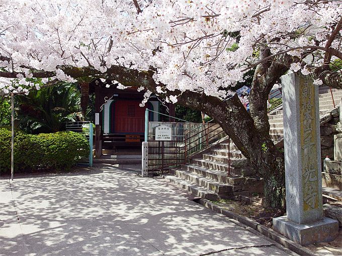 ̍ࣖX|bgƁAiʐ^X|bgI