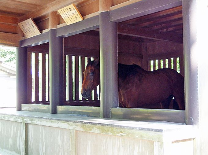 zX炵I_n_lɂQ肷p͕K