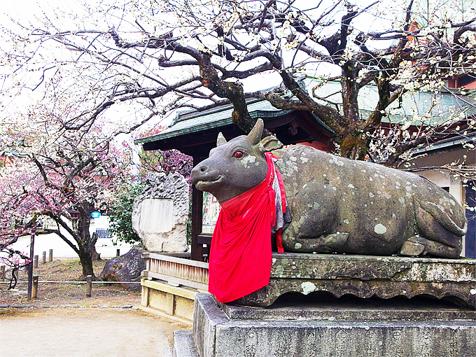 北野天満宮の国内旅行 観光ガイド トラベルjp 旅行ガイド