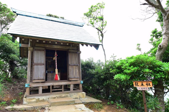 ̃p[X|bgu{Av͂ˁI_Ȃ琰V