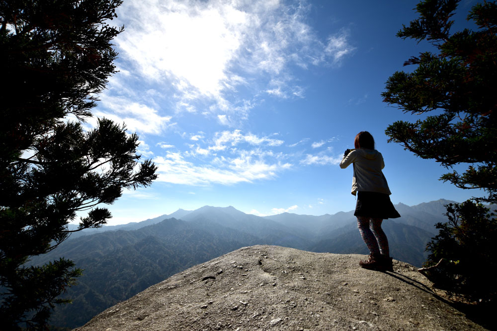 屋久島「白谷雲水峡＆太鼓岩」は半日で楽しめる感動スポット