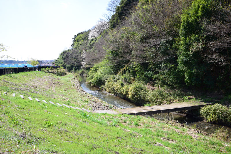 横浜の原風景を歩こう！水と緑を楽しむ「和泉川健康のみち」