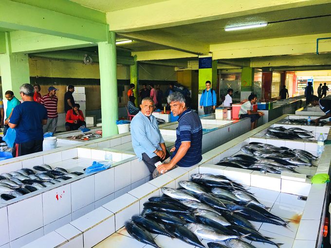 3．魚市場／マーレ島