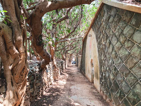 �K�W���}���ɉB���ꂽ��p�̔閧��n�I�O�΁u�����c��v�̋L���T���l�C��