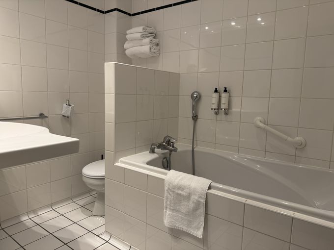 �q���͊������o�X�^�u�t���I