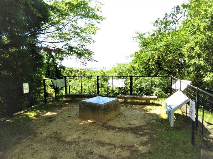 ͓nnW]Ɓu߂򒹔فv