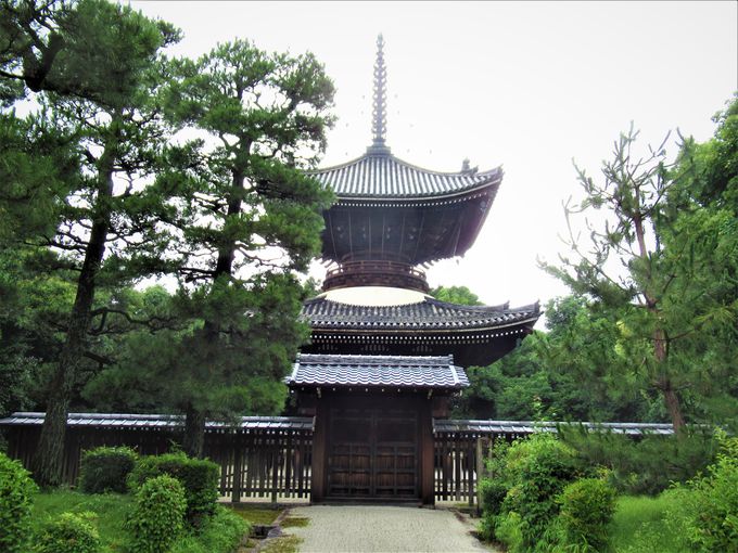 @̐ⒸɌNՂH@߉qVc̗˕