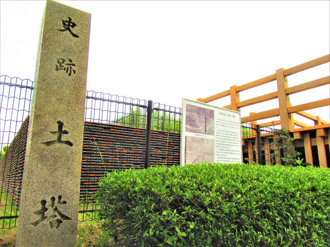 ޗǎɒzꂽuyv