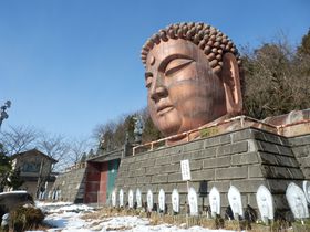 kŋ̌zԁEs̃njxތA@In߂̉ʂĂɉH̋LTlC