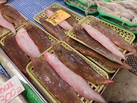 スーパーに魚市場！？新鮮な魚介類満載の岡山「備前海の駅」