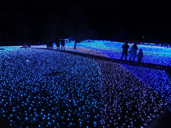 幻想的な灯りに魅せられて 奈良市 しあわせ回廊なら瑠璃絵 奈良県 Lineトラベルjp 旅行ガイド