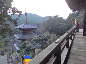 天井の木札に注目！国宝三重塔を擁する兵庫県加西市の一乗寺