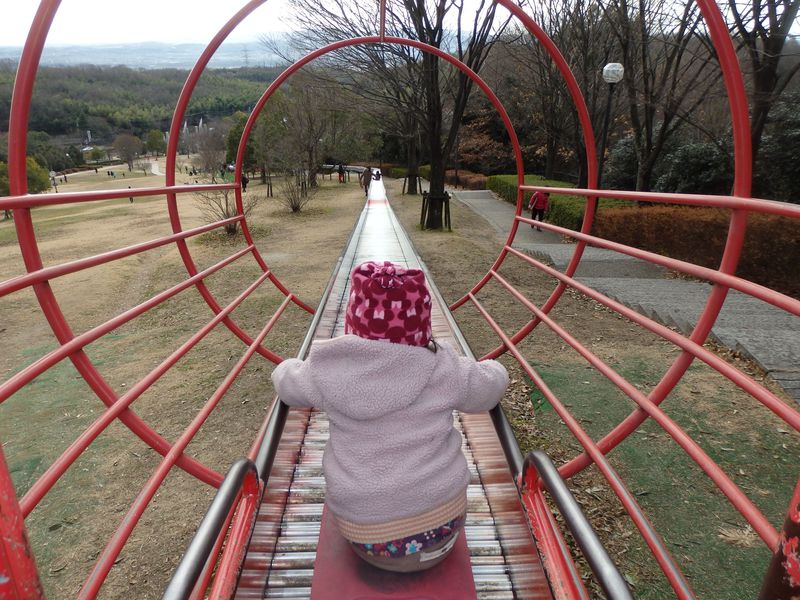 スリル満点！京都府城陽市総合運動公園のローラースライダー