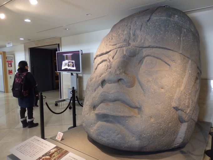 12�D�V����w�����V���Q�l��/�V���s