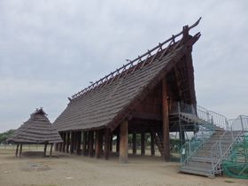 �ő勉�̖퐶��^�����Ɉ��|�I���{���n��̒r��]����Ղ̋L���T���l�C��