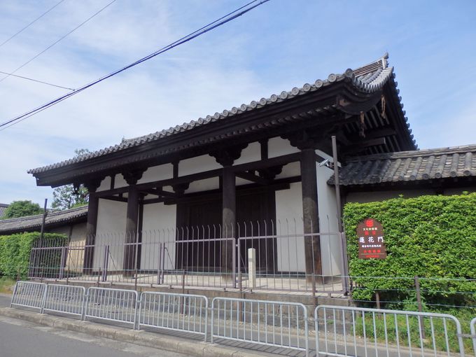 東寺では唯一の国宝の門！鎌倉時代に建てられた蓮華門