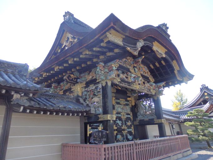 西本願寺を代表する造形といえば、やはりこれ！国宝・唐門の見事な彫刻類