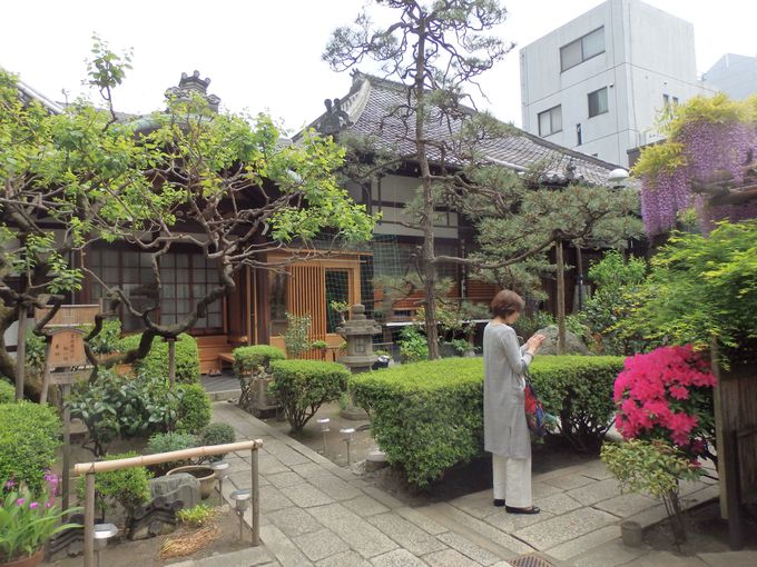 京都随一の繁華街にひっそりたたずむ瑞泉寺