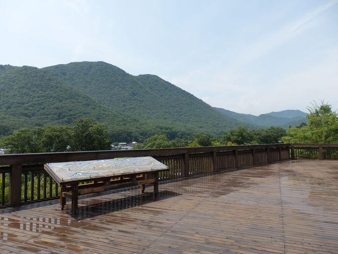 OgĂ̌̋EYn]̂ƂɁIɓ|pق̒