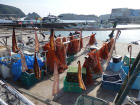 �V�N�Œ������C�Y�����瑫���A���򗷊ق܂ŁI�I�ɏ��Y�Ԃ��U��̋L���T���l�C��