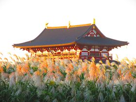 IM̌QIޗǂ̐EYu{ՁvŏH̗[iy