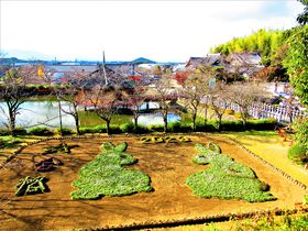 日本三文殊の一つ！見所満載の奈良県桜井市「安倍文殊院」