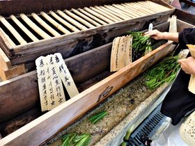 삽}Is̉Ă̕uZ܂v̋LTlC