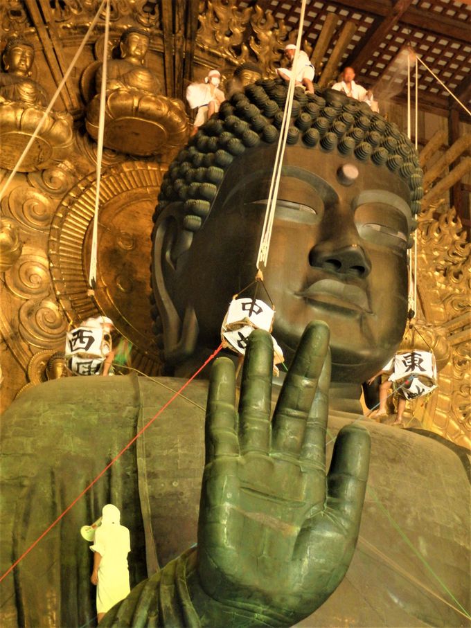 1年に1度の大掃除 奈良 東大寺大仏殿 大仏さまお身拭い 奈良県 トラベルjp 旅行ガイド