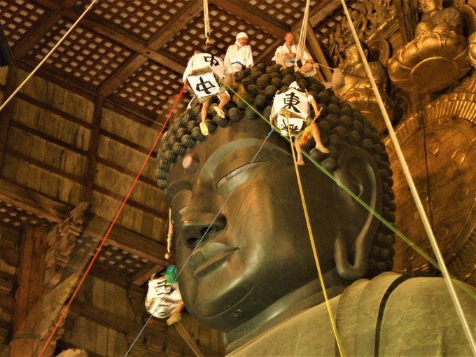 1年に1度の大掃除 奈良 東大寺大仏殿 大仏さまお身拭い 奈良県 トラベルjp 旅行ガイド