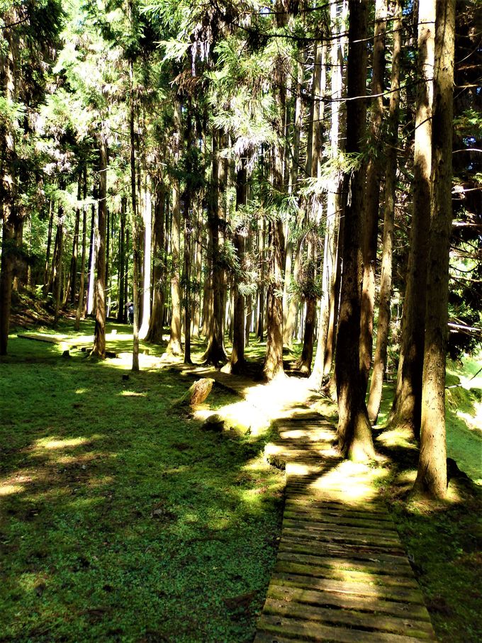 쒹ώ@Iꂼ̈قȂu3̓v