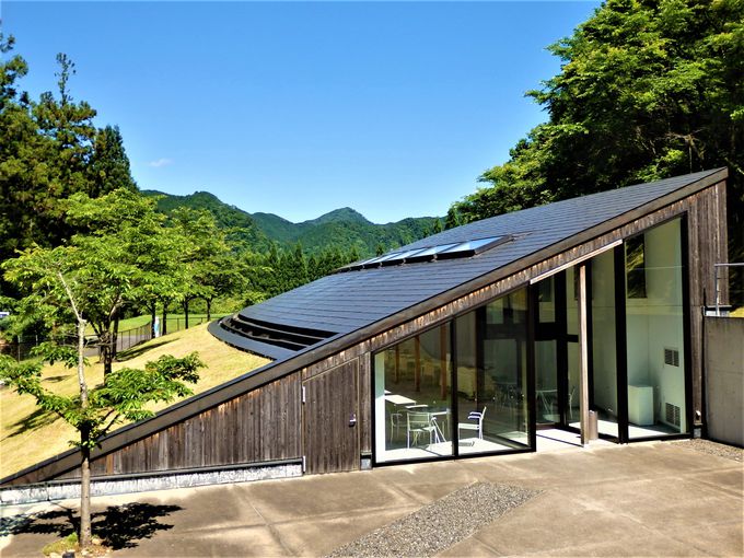 {݂̑Sem낤IxeXy[X{ݓ